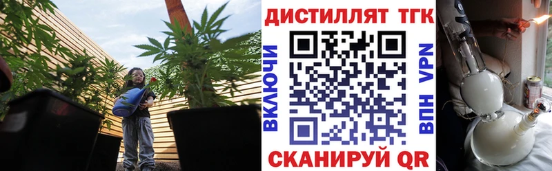 цены Инза ТГК концентрат