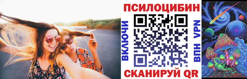 Псилоцибиновые грибы Cubensis Инза